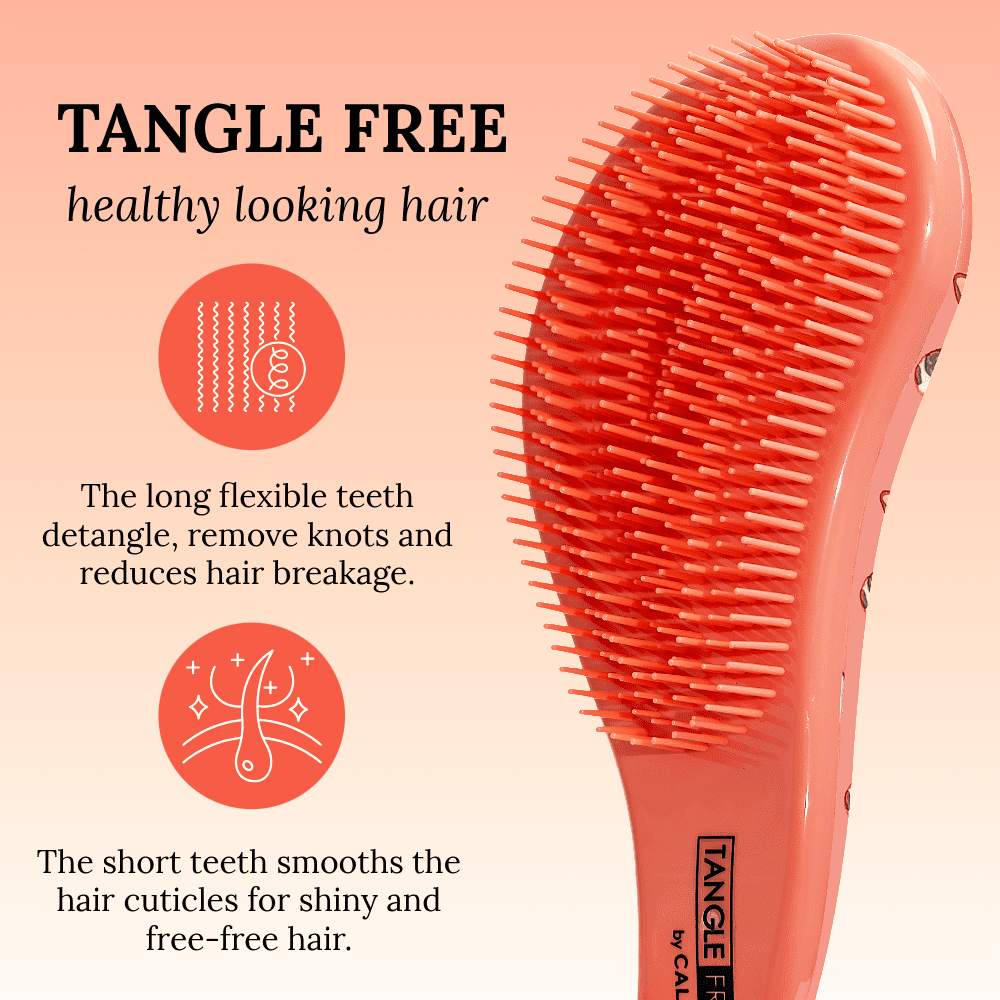 CALA Tangle Free Hair Brush with Frenchie Design for All Hair Types - Image 4