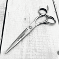 wingsbro 6.7 inches Silver Hair Cutting Scissors for Men and Women, Professional Salon Barber Hairdressing Scissors
